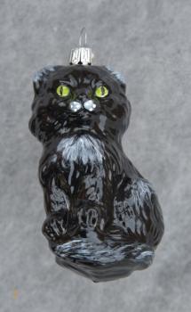 Katze schwarz glänzend